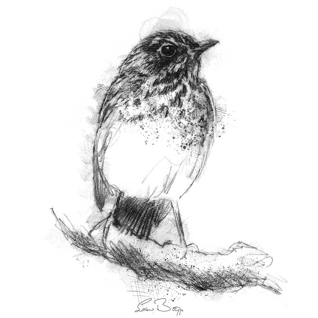 Young thrush bird