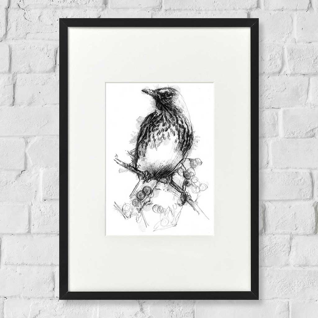 Thrush