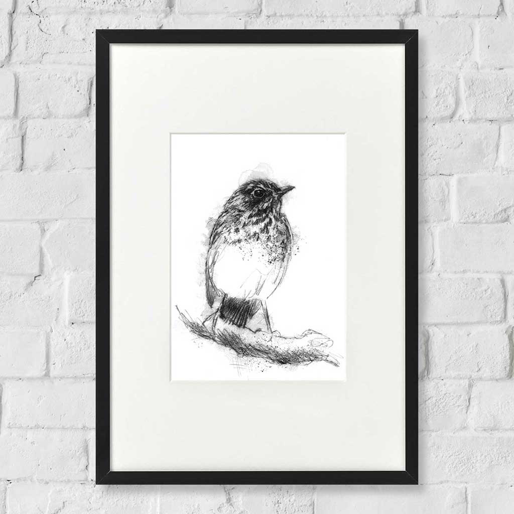 Young thrush bird