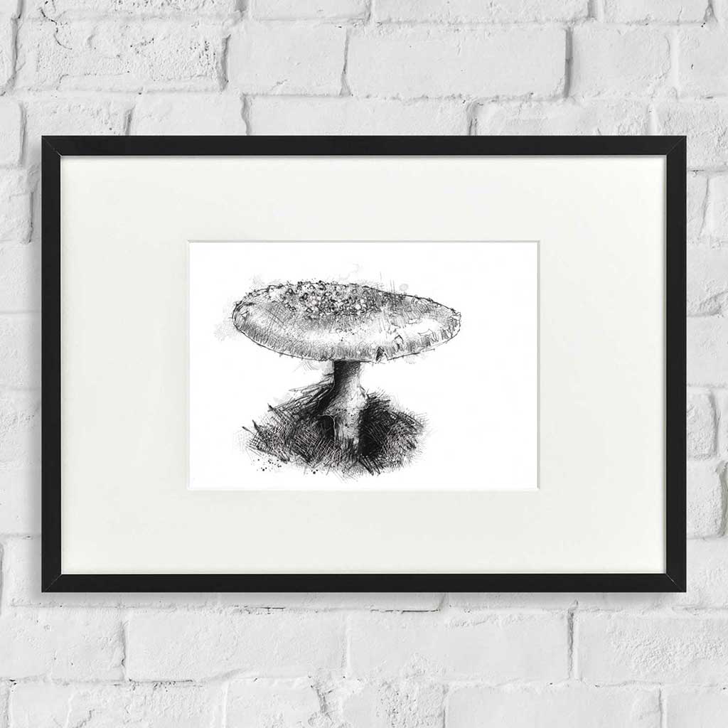 Toadstool