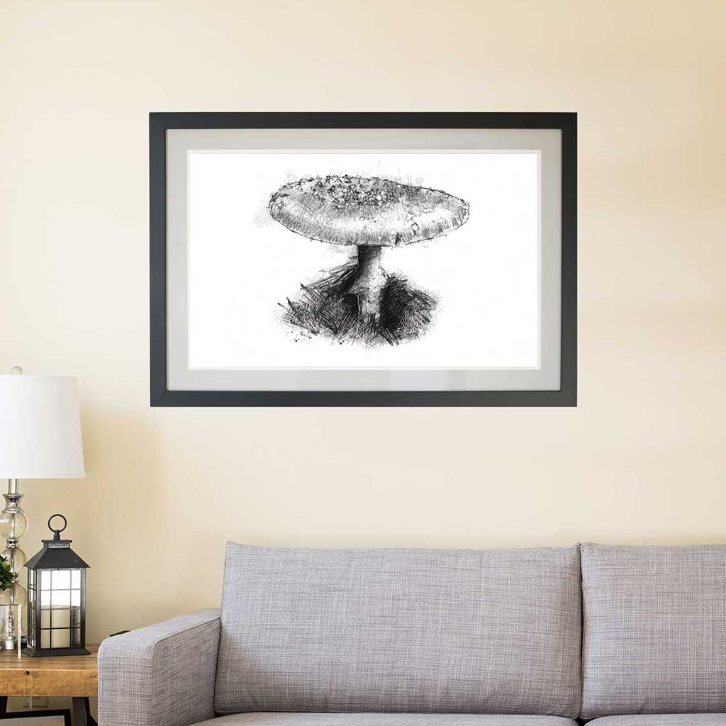 Toadstool