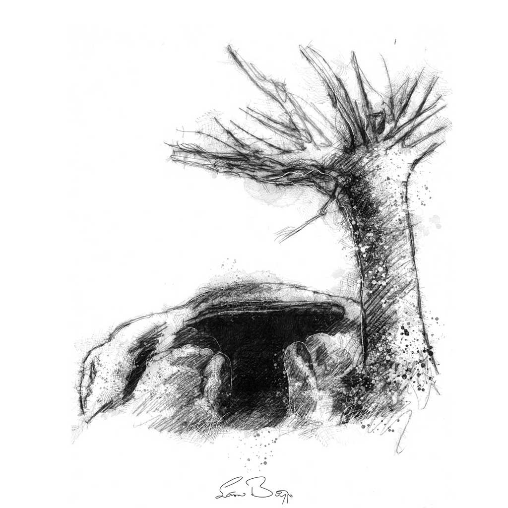Ancient tomb