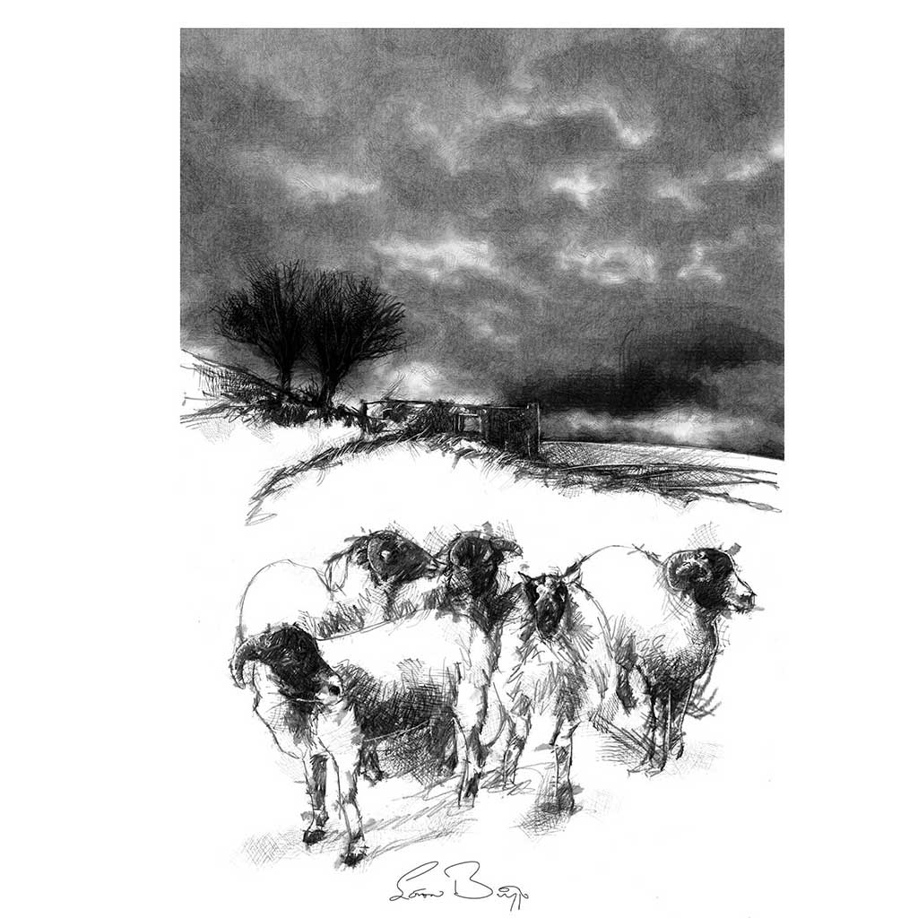 Moorland storm