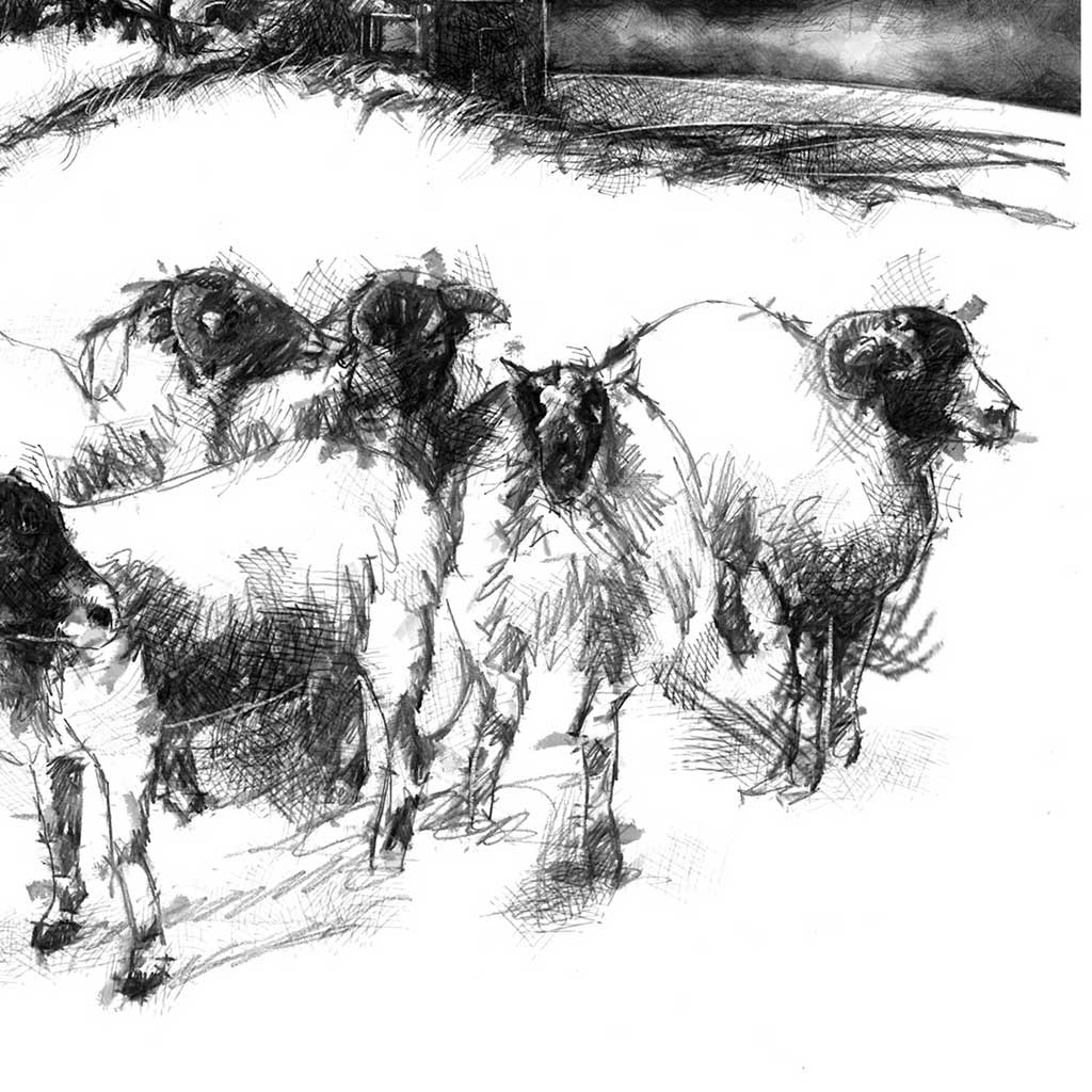 Moorland storm