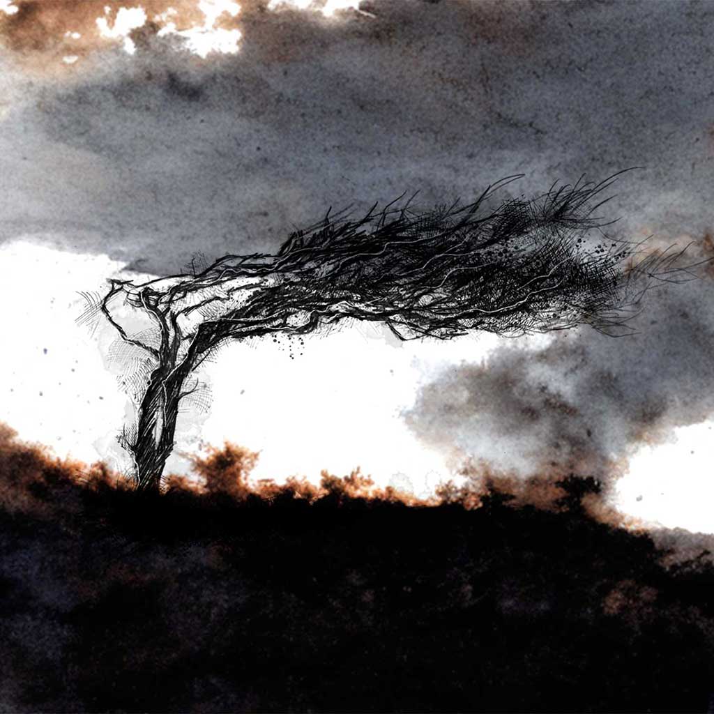 Wild tree