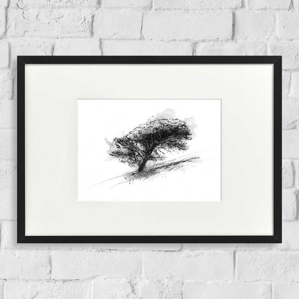 Windswept tree