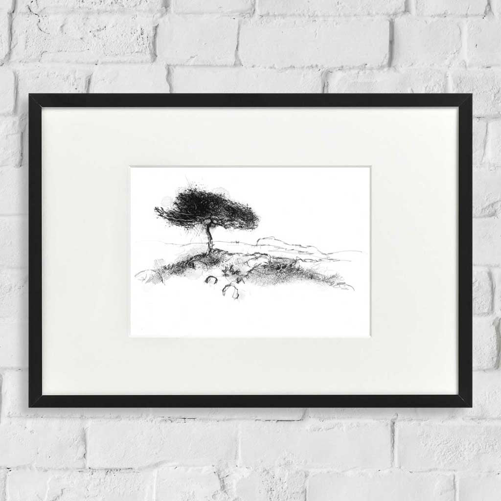 Wind swept tree