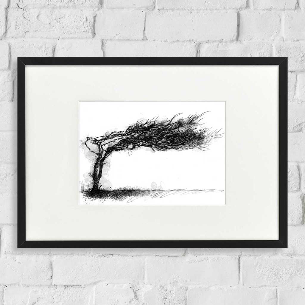 Wind swept tree