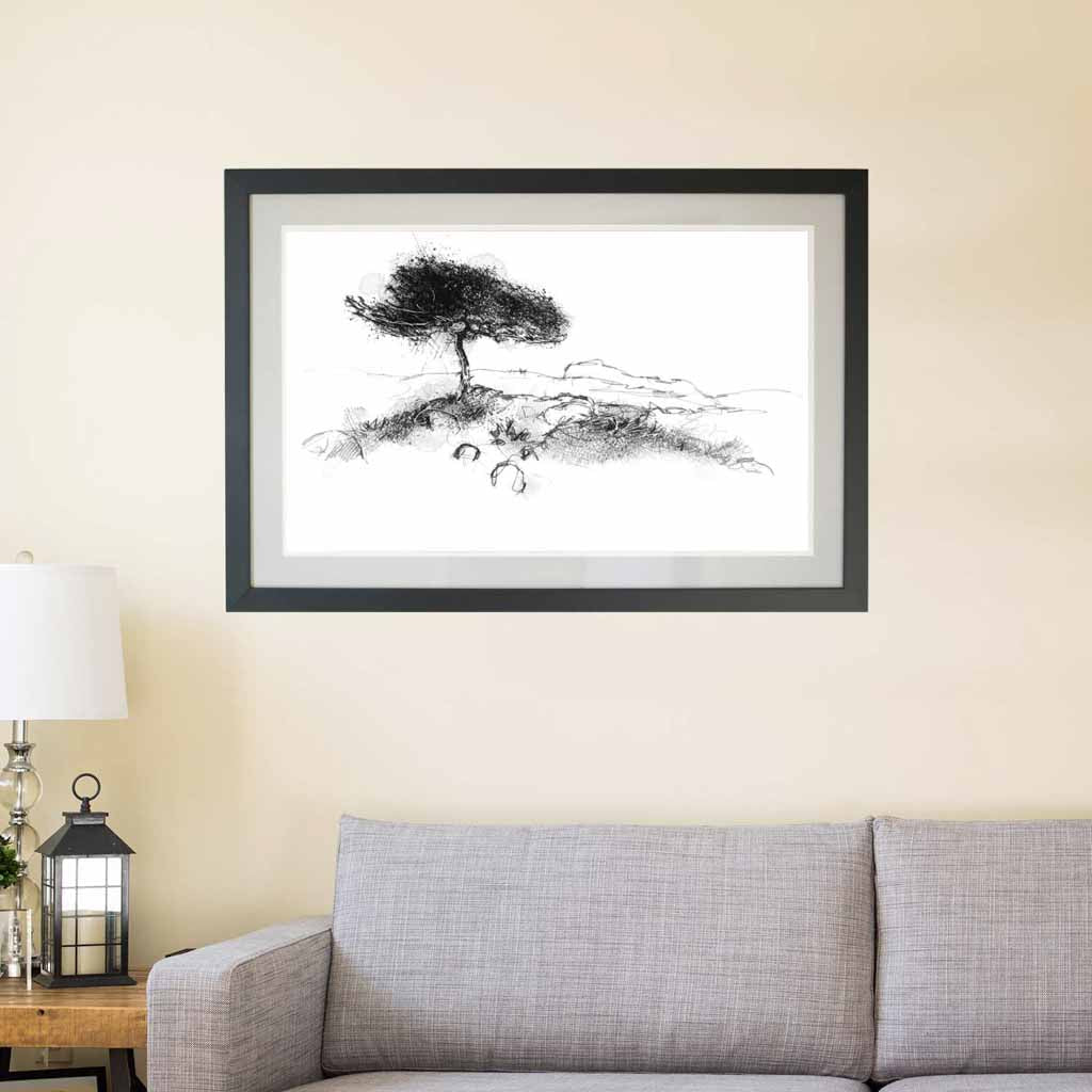 Wind swept tree