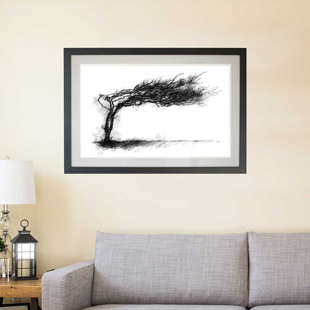 Wind swept tree