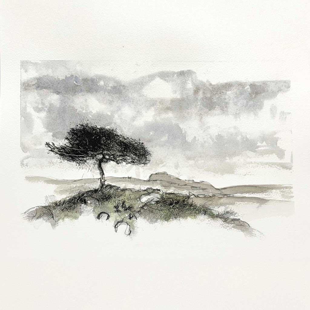 Lone tree