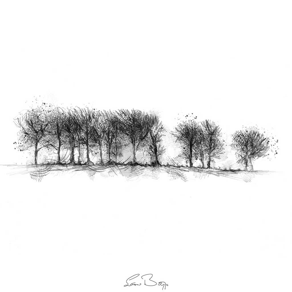 Treeline