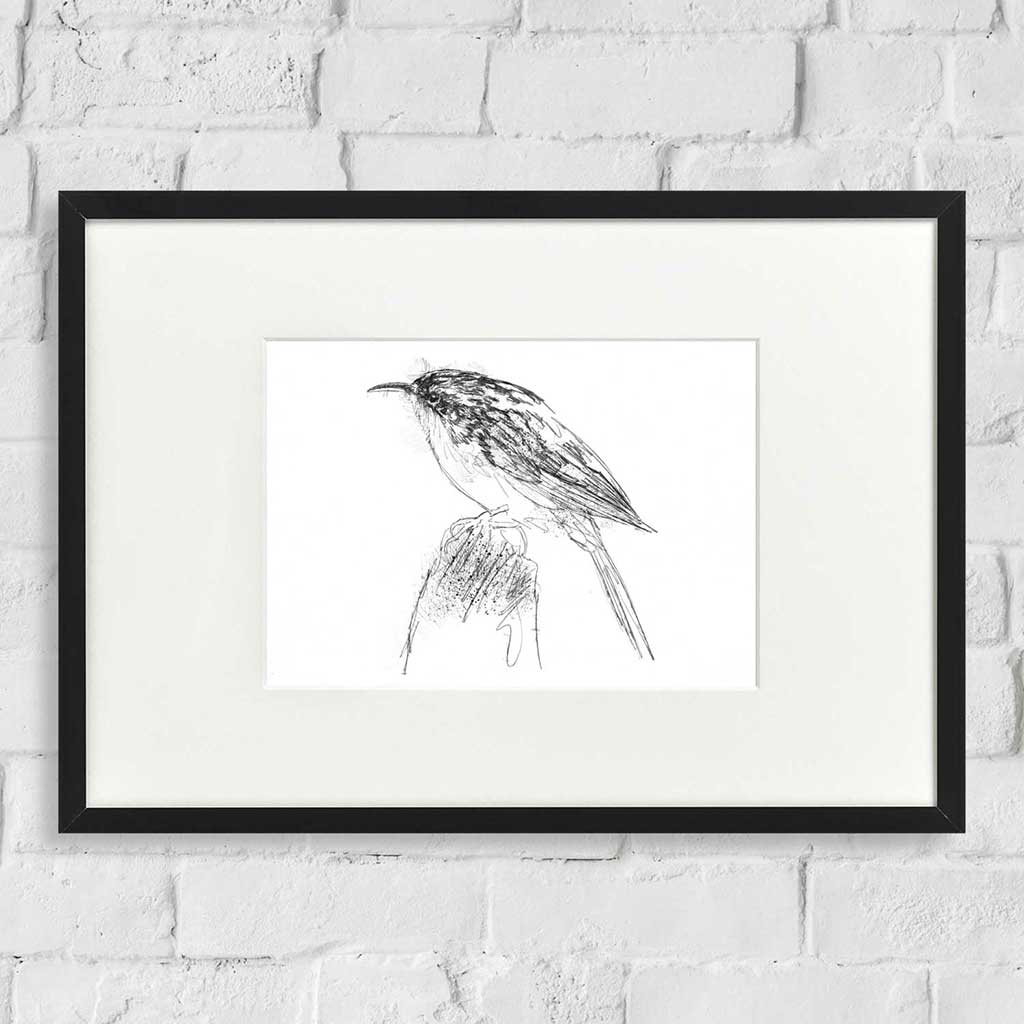Tree creeper