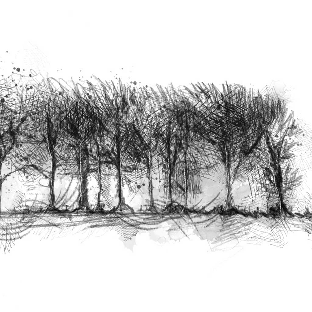 Treeline
