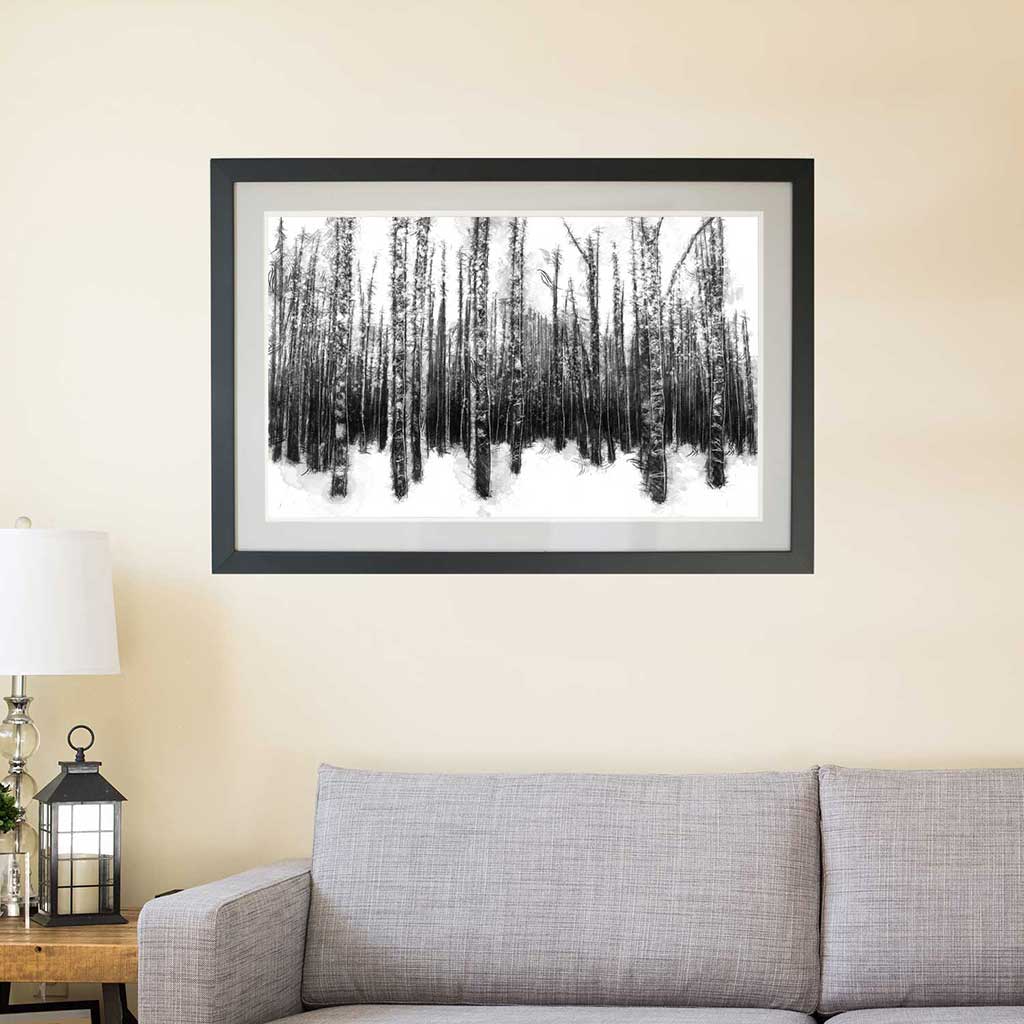 Beech trees