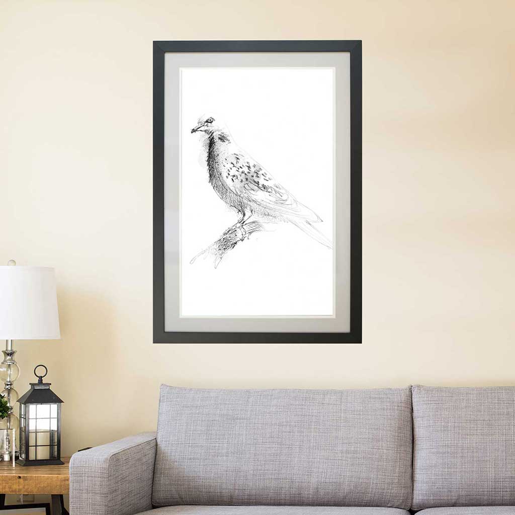 Turtle dove