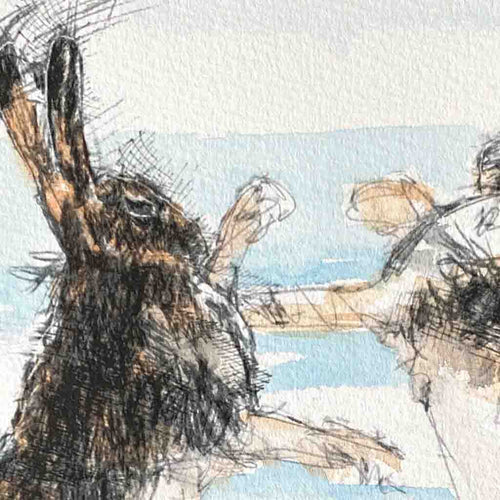 Boxing hares sketch