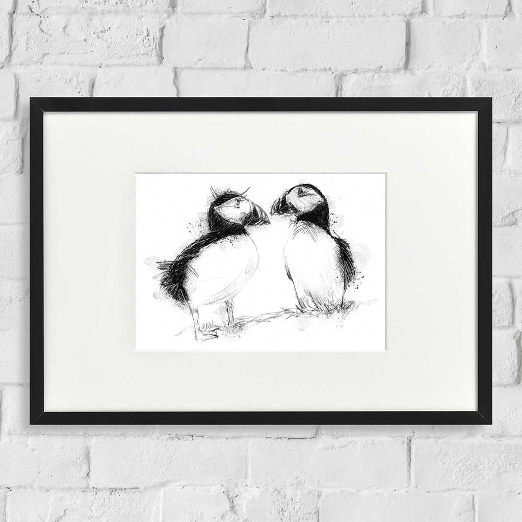 Two puffins