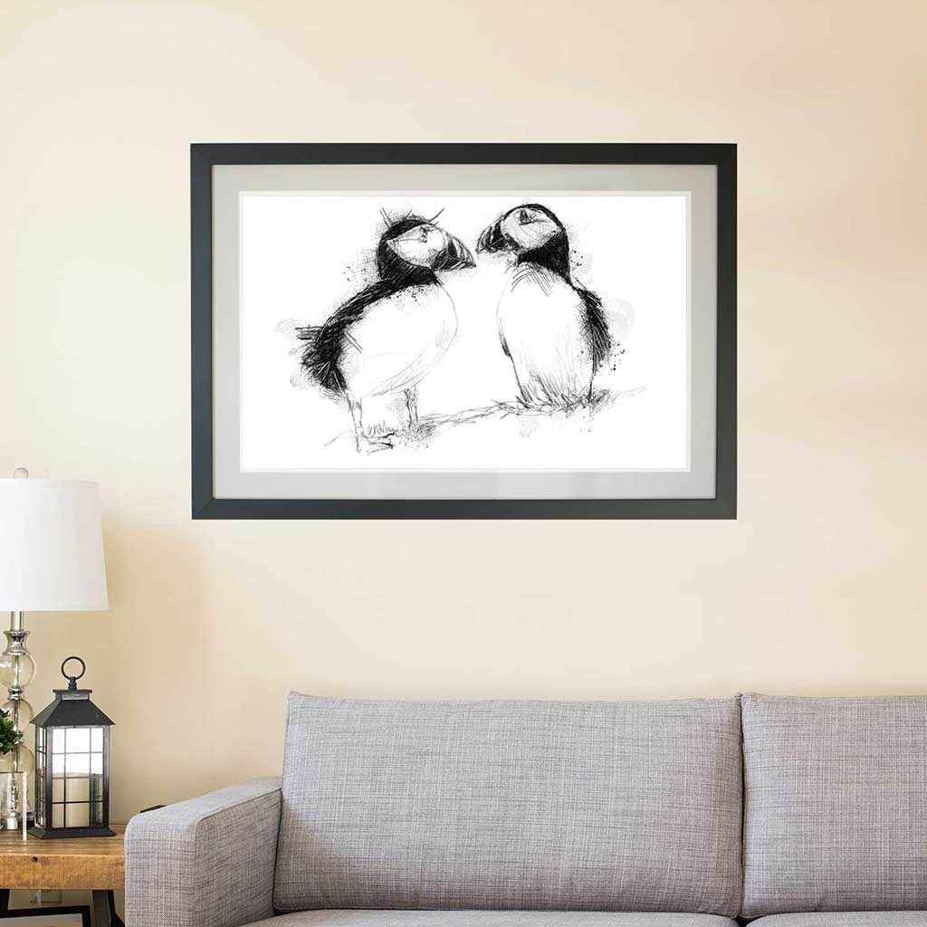 Two puffins