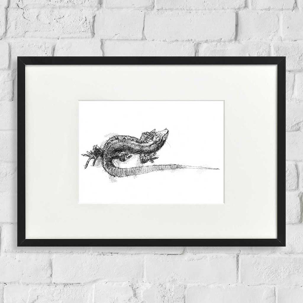 Viviparous lizard