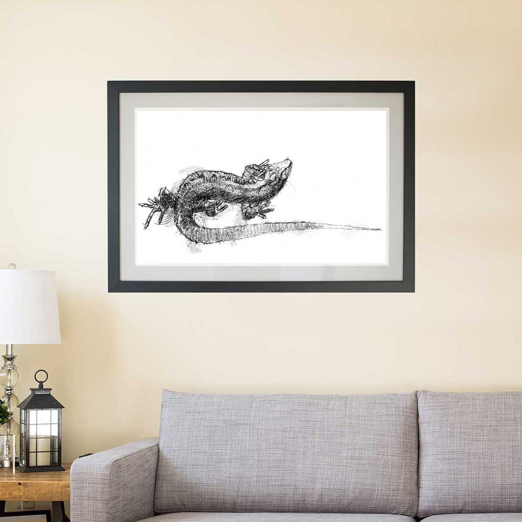 Viviparous lizard