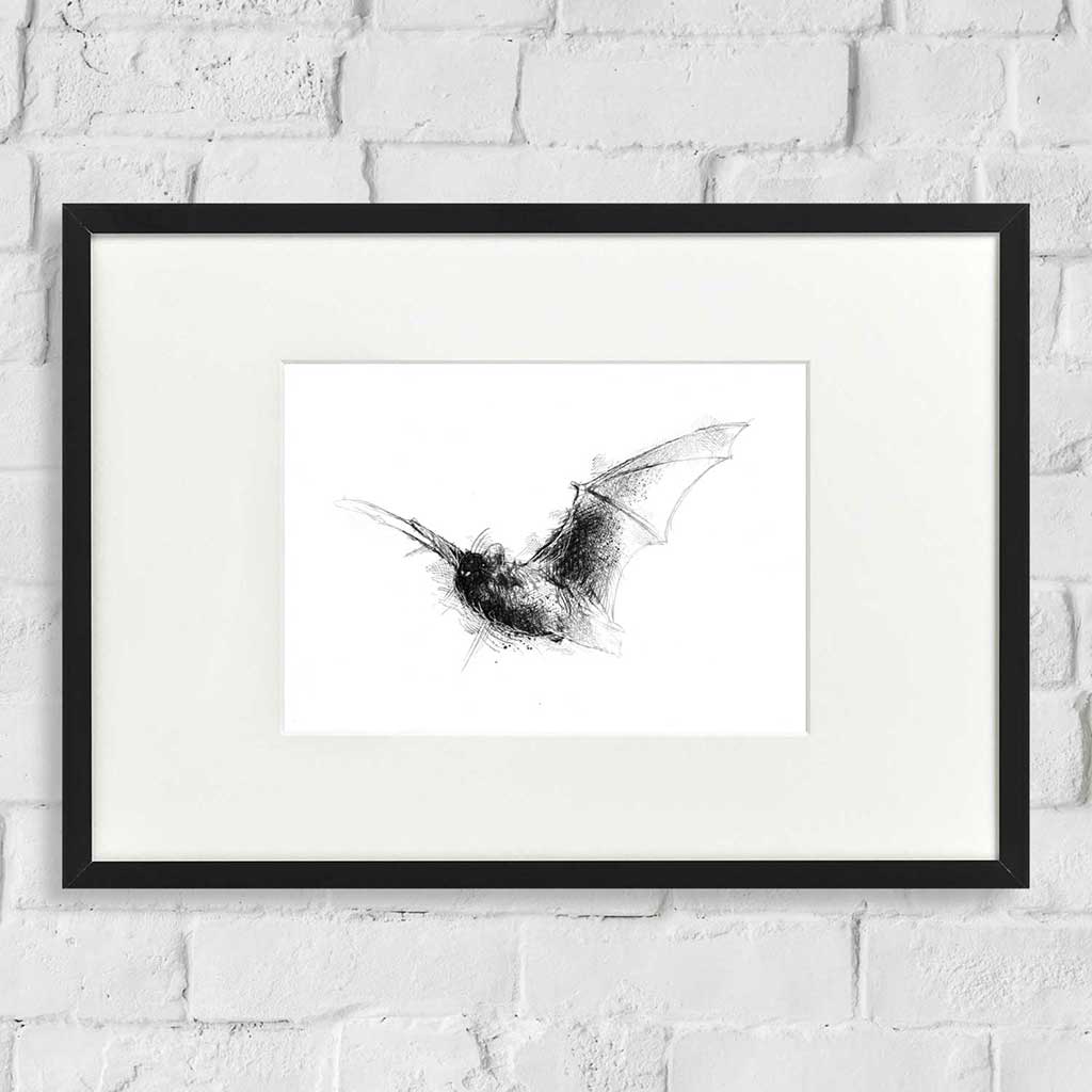 Voctule bat