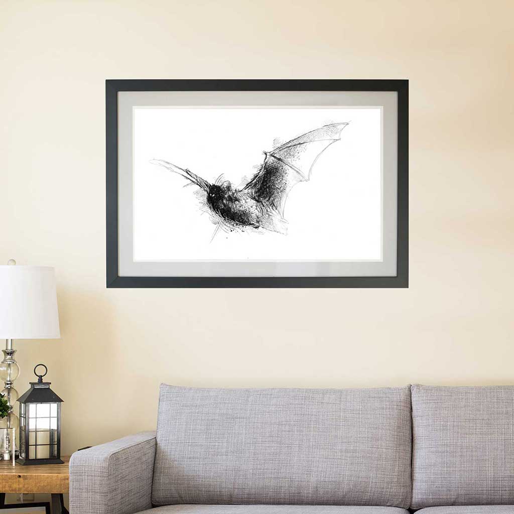 Voctule bat