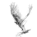 Vulture take off