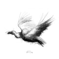 Vulture