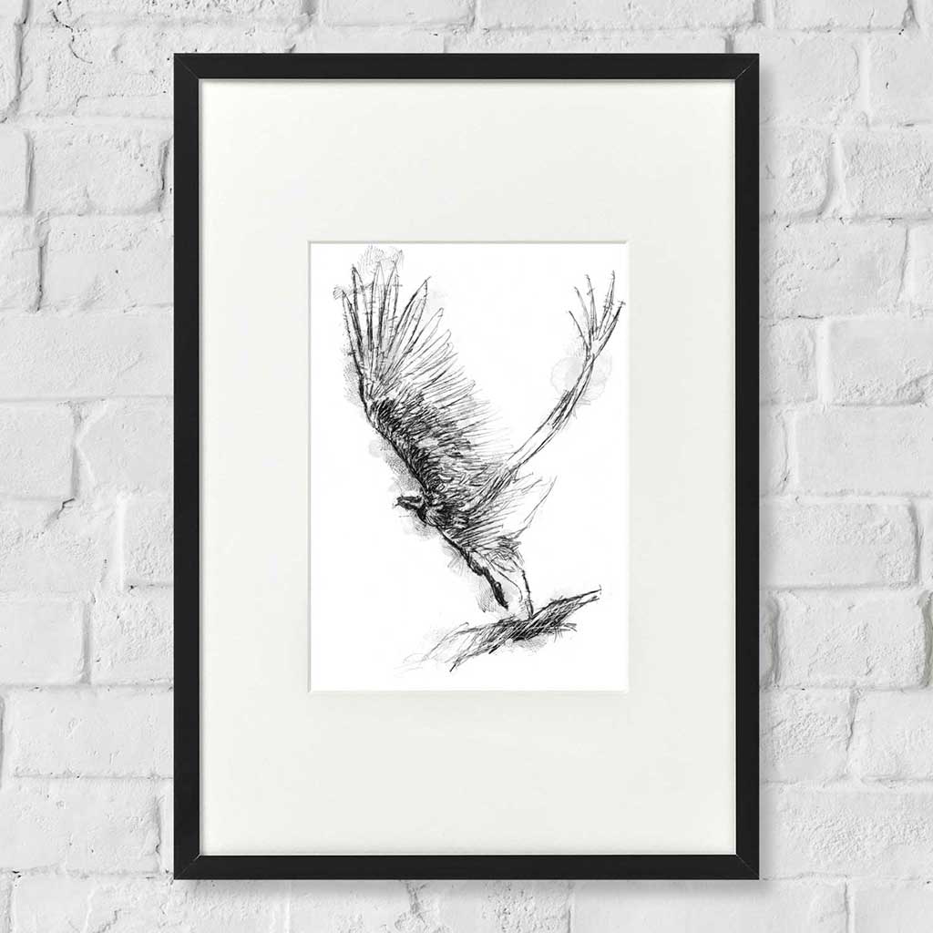 Vulture take off