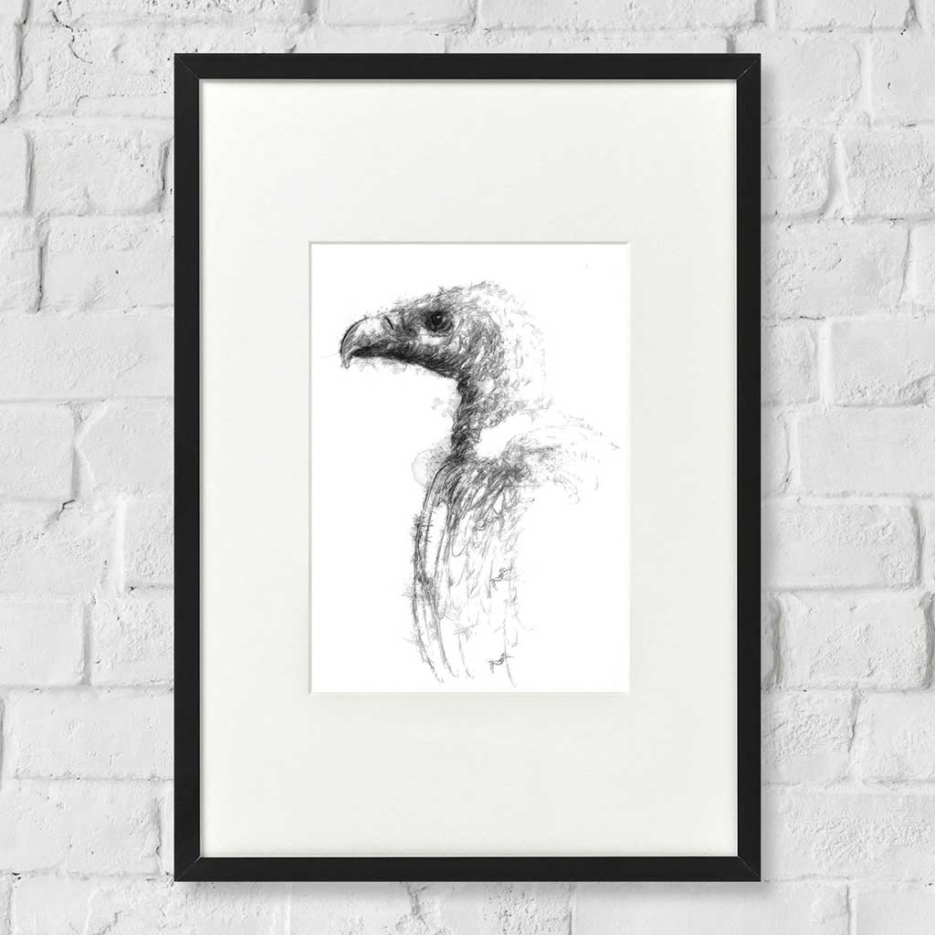Vulture