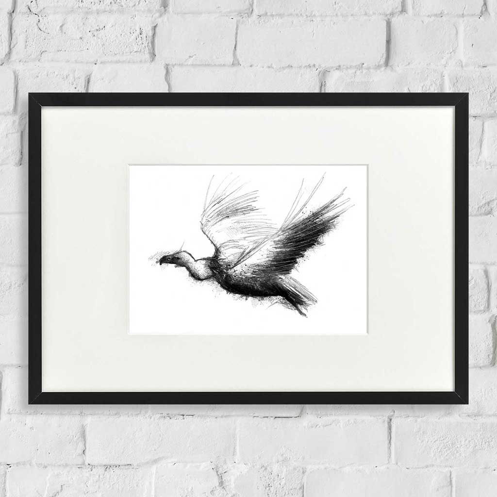 Vulture