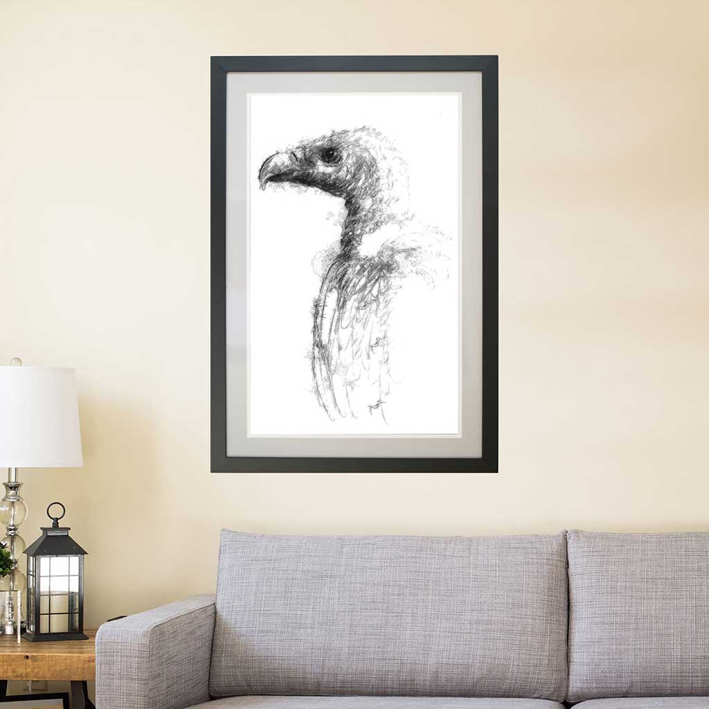 Vulture