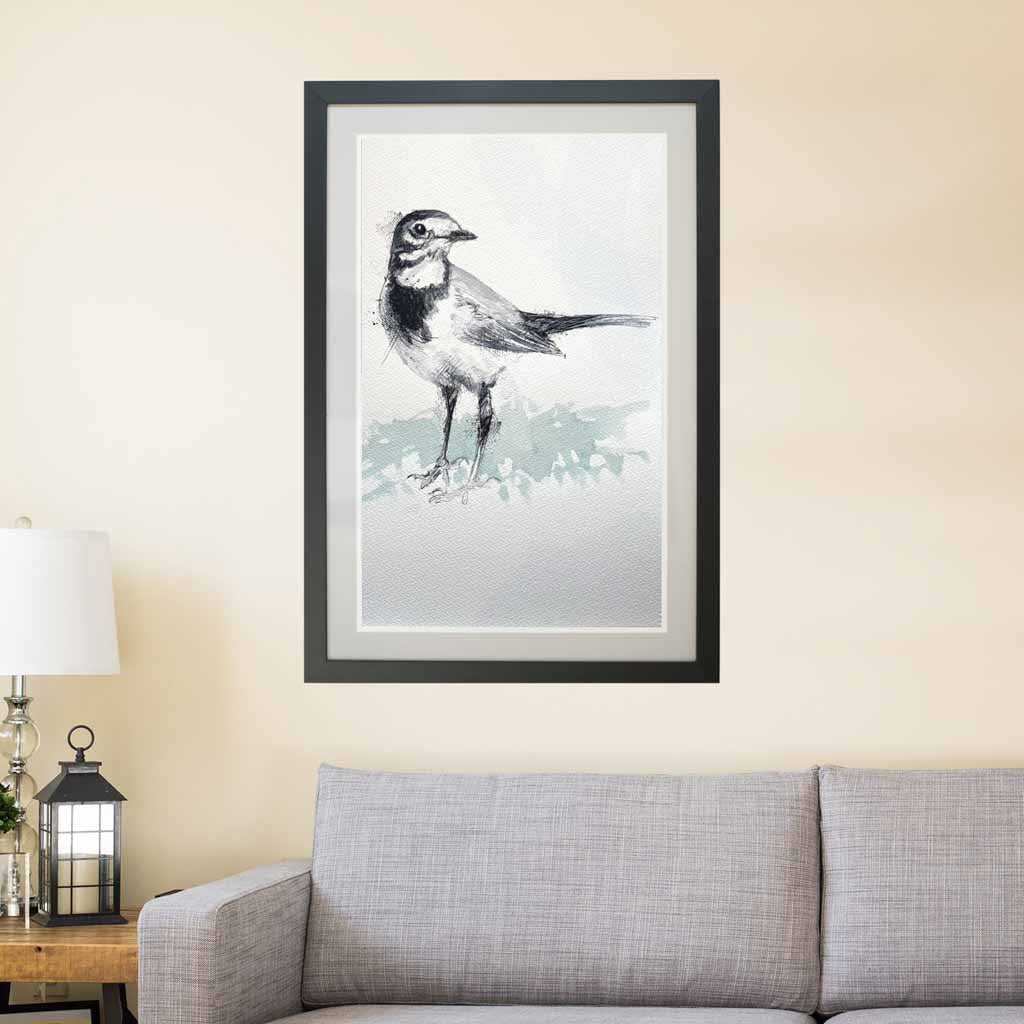 Pied wagtail