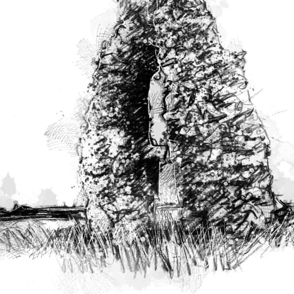 Walland marsh ruin