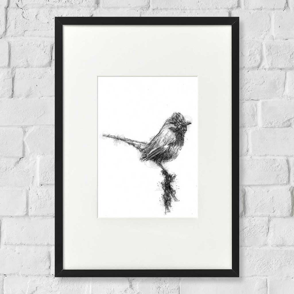 Dartford warbler