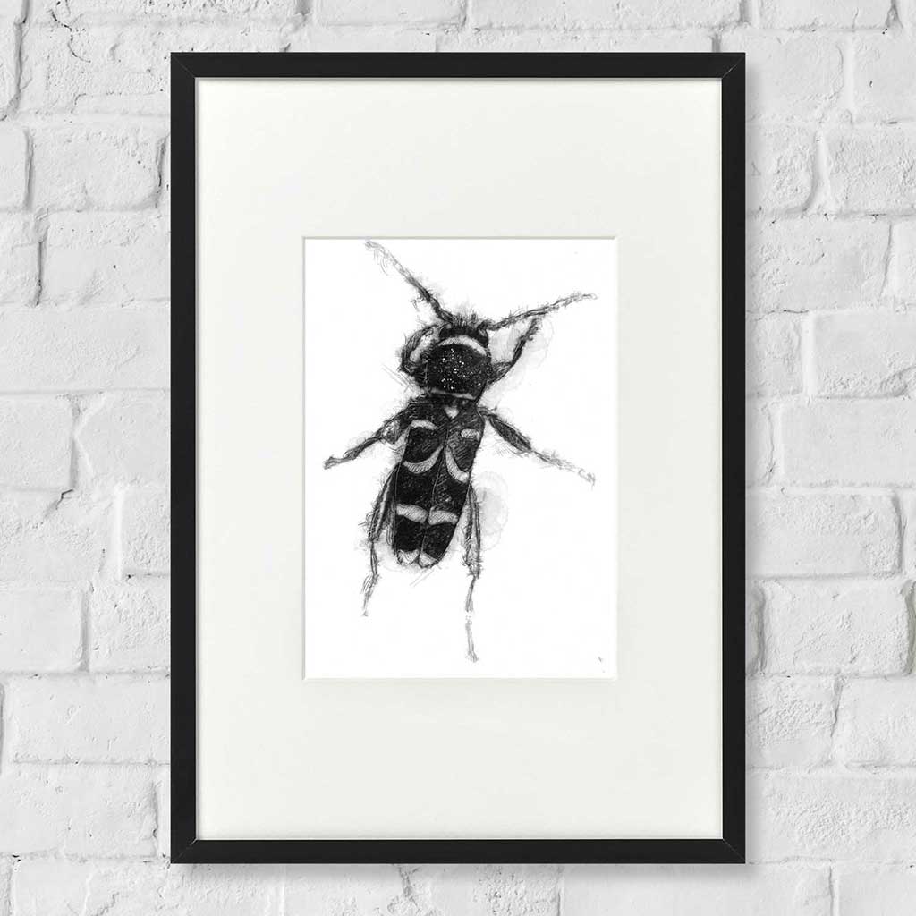 Wasp beetle