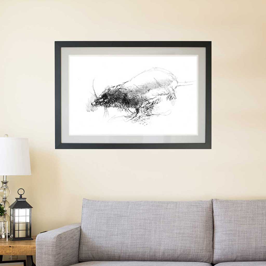Water shrew