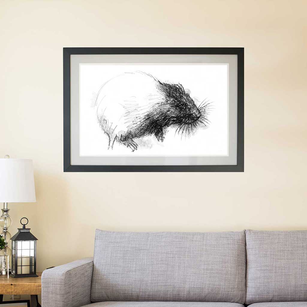 Water vole