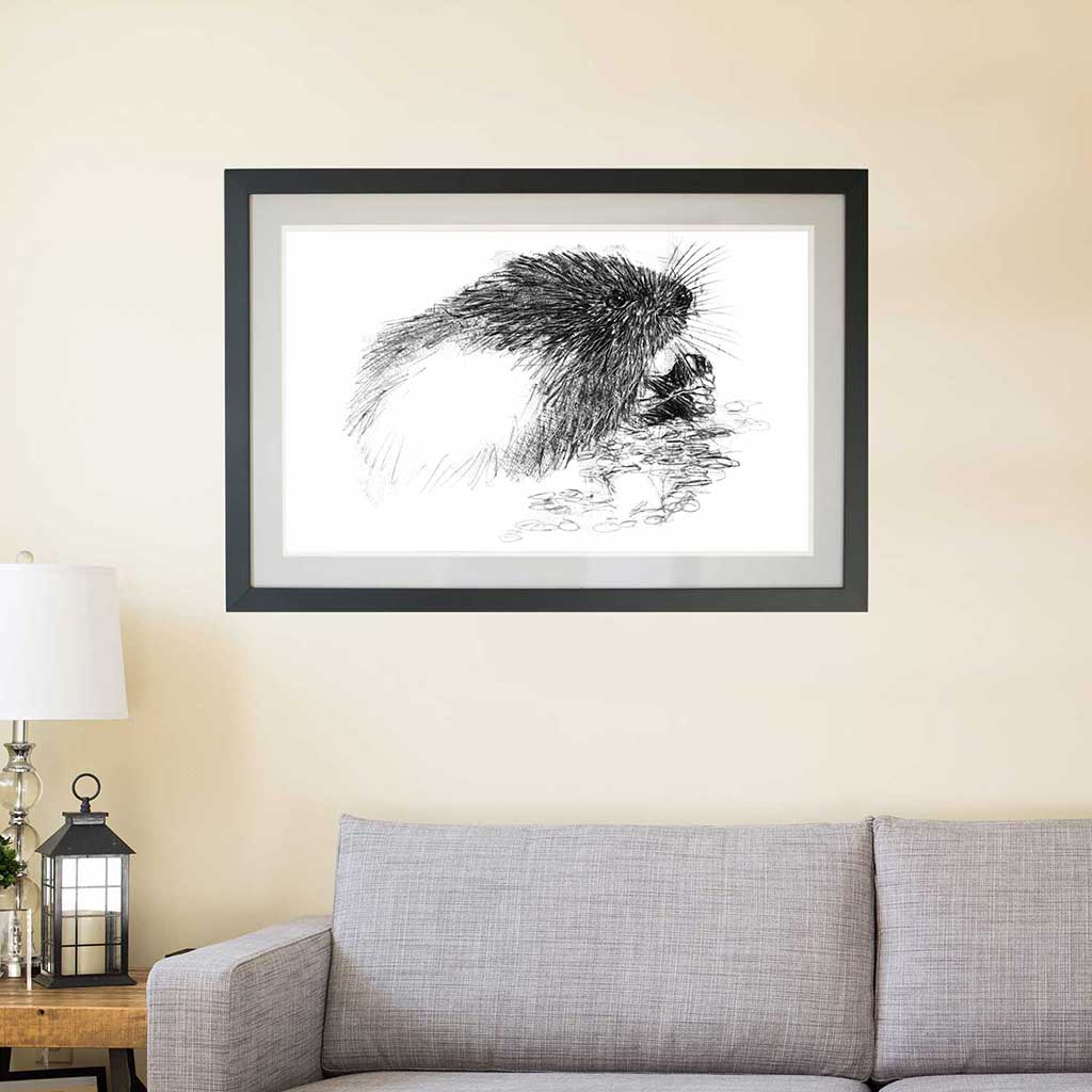 Water vole