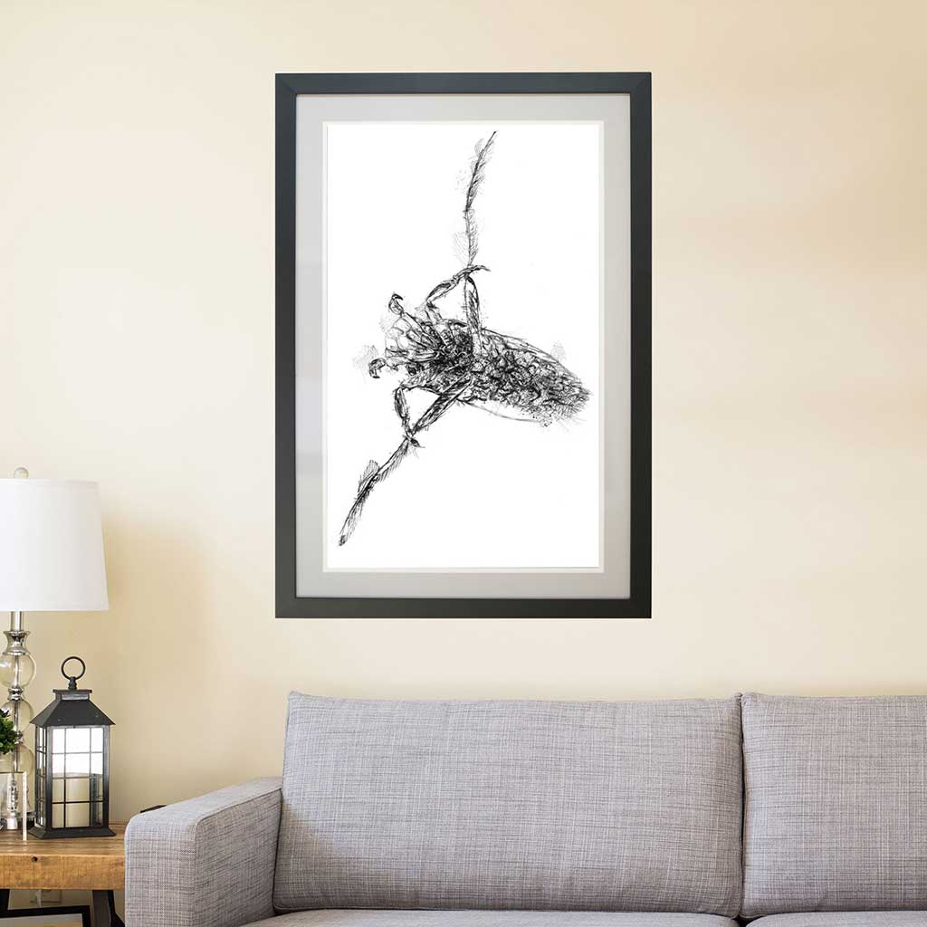 Water boatmen insect