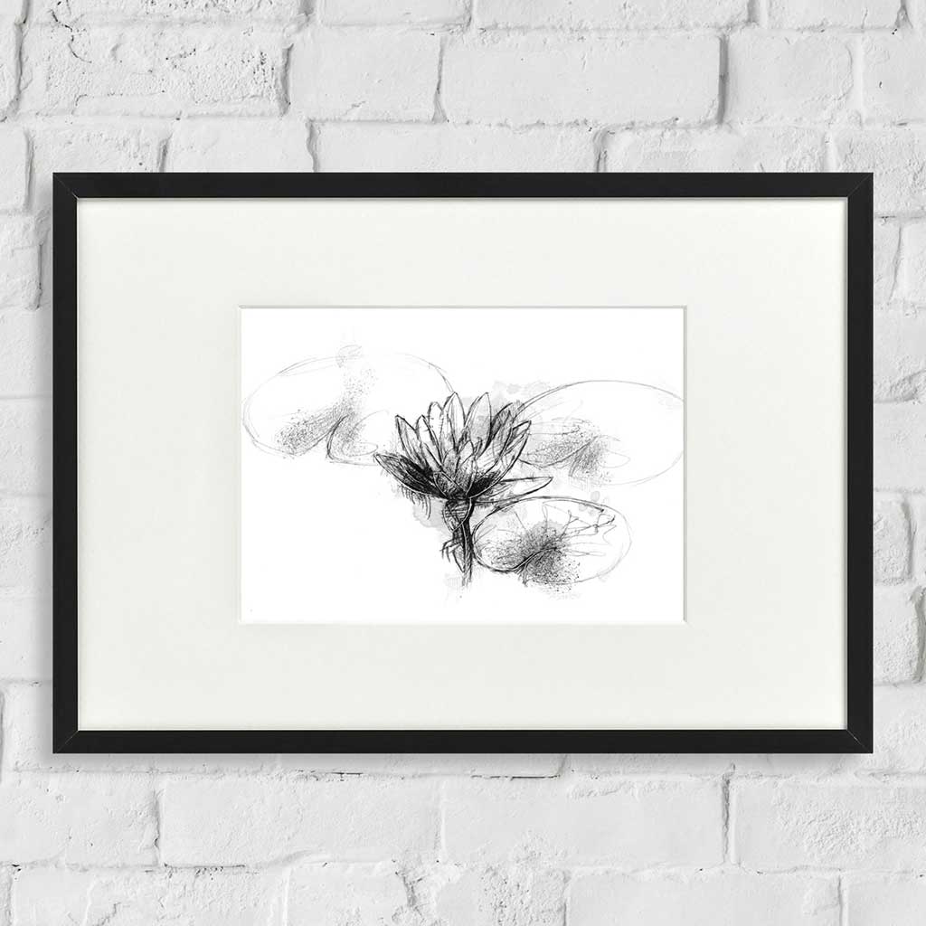 Waterlilly