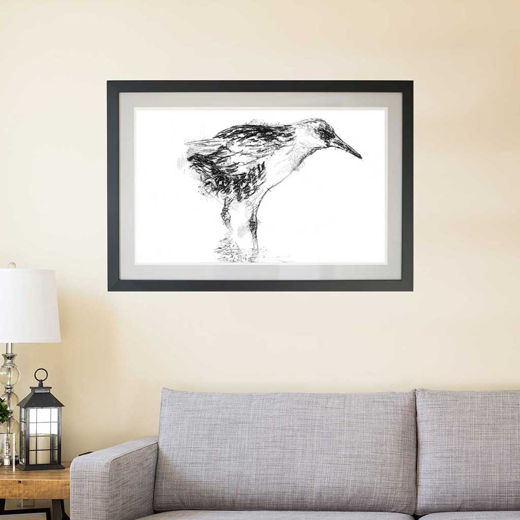 Water rail