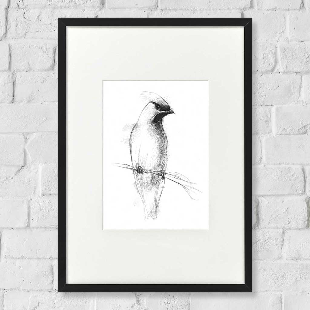Waxwing visitor