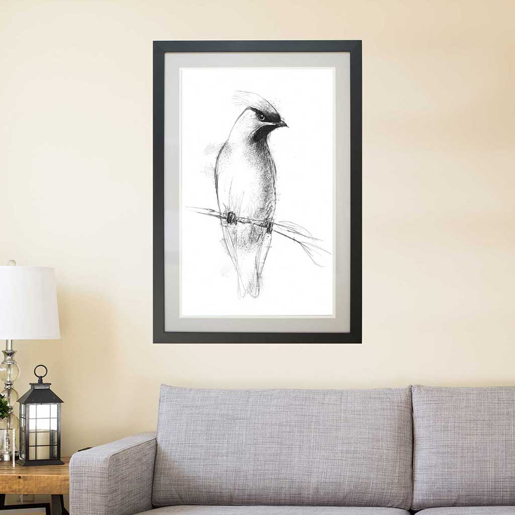 Waxwing visitor