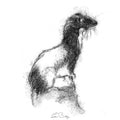 Weasel