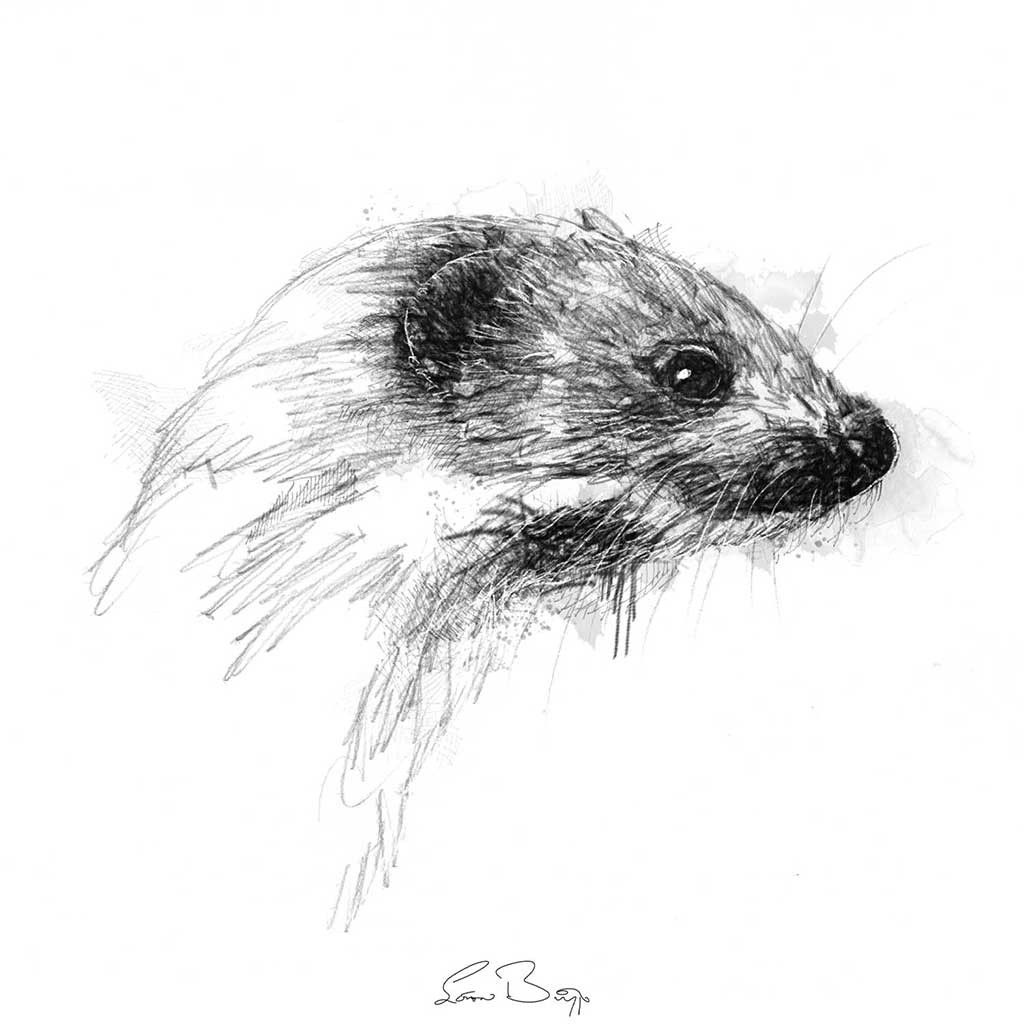 Weasel