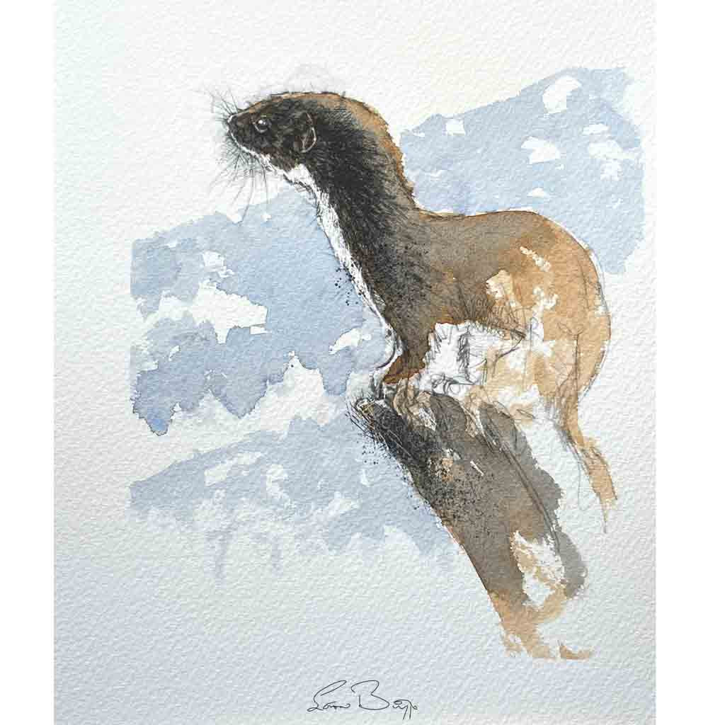 Weasel