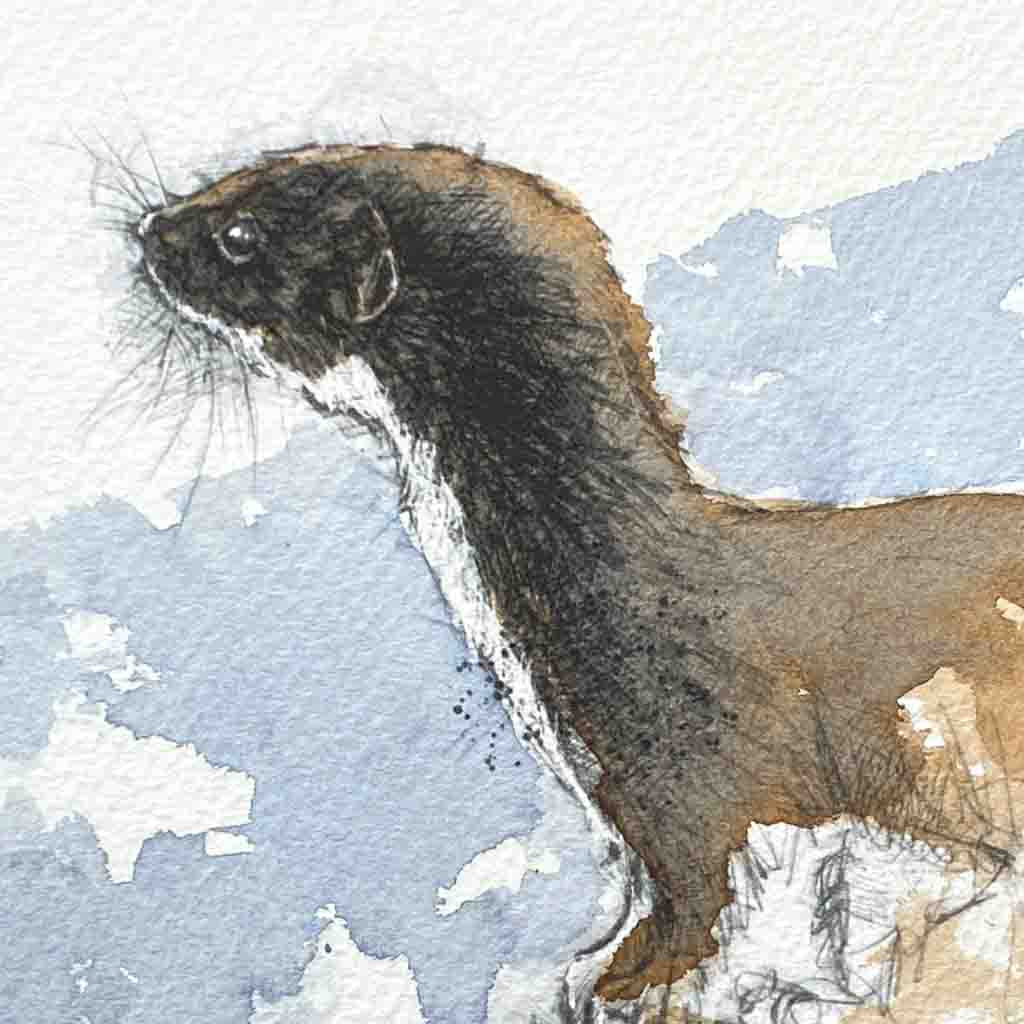 Weasel