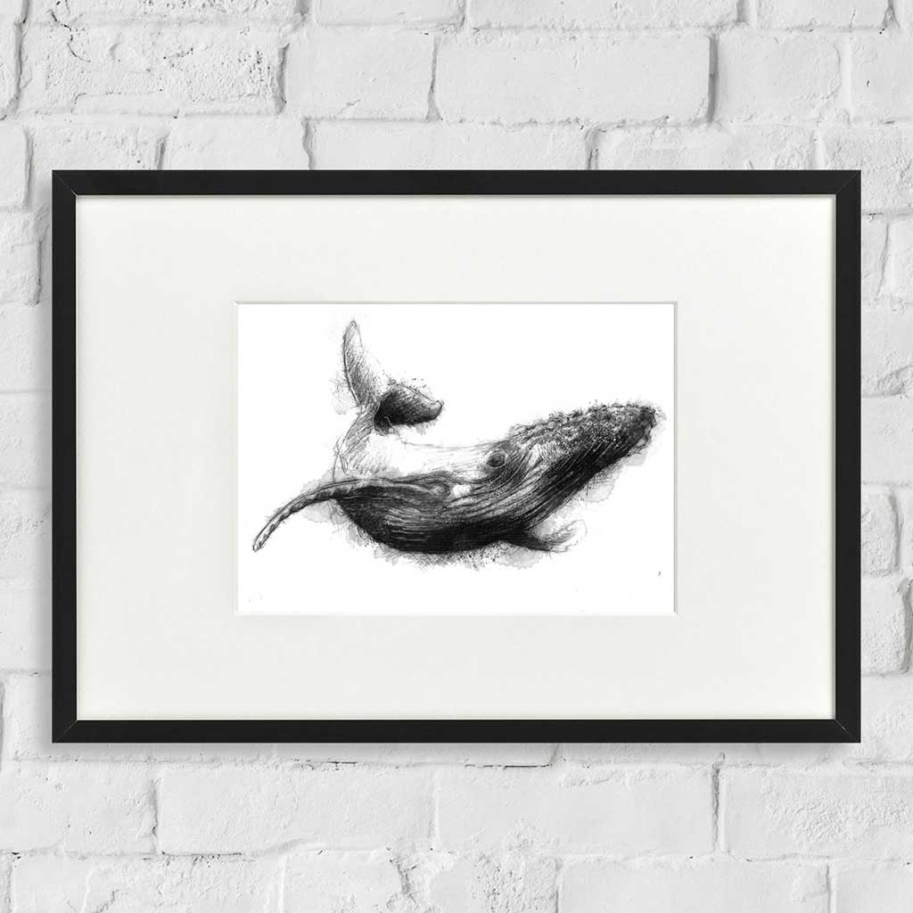Whale swim